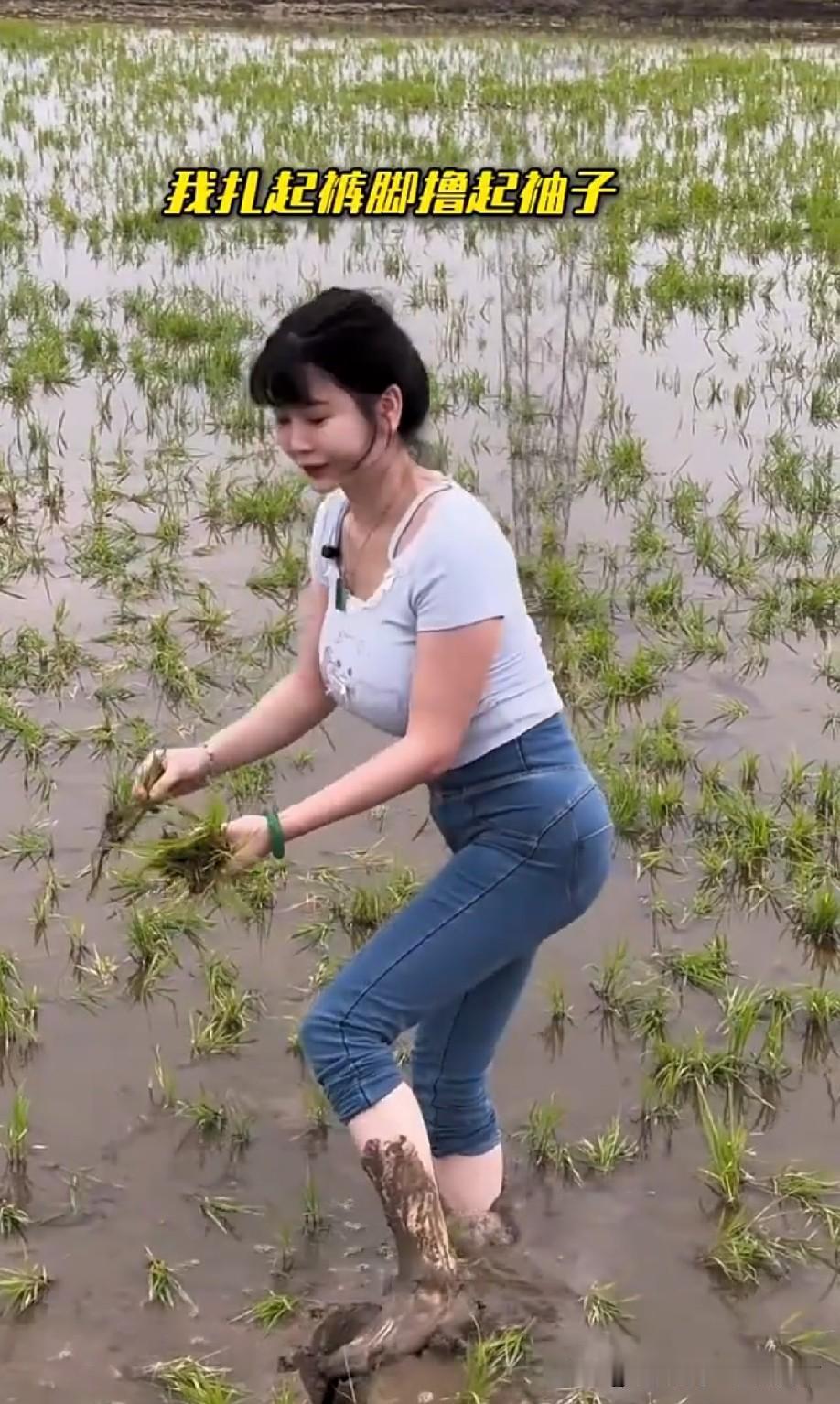 插秧会干不[偷笑]
