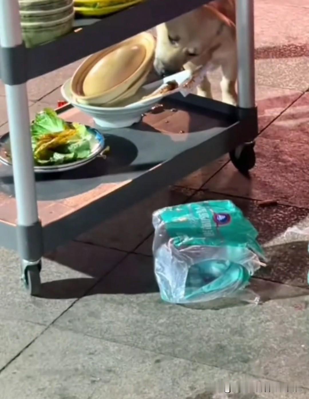 最近，有网友曝光了四川南充顺庆区这家李老表菜市火锅的外摆就餐区里，一只疑似流浪狗