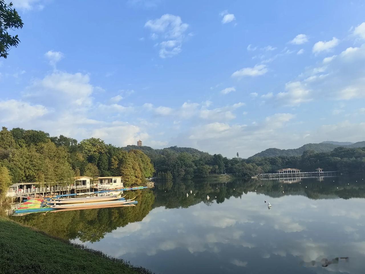 想在头条赚副业一定不能懒，现在都补贴和单价已经变低了，那么唯有从数量上取胜。微头