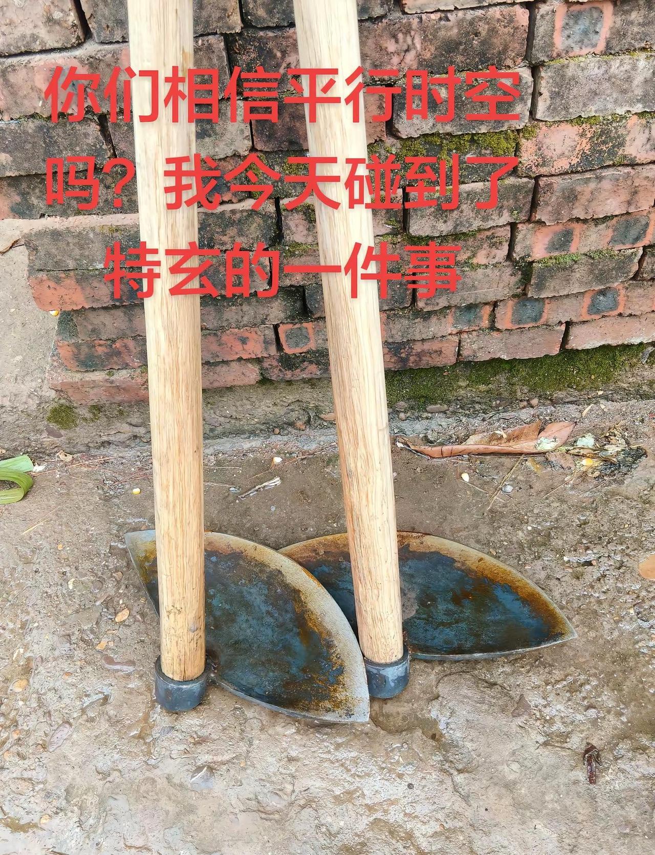 这么大的两把锄头，同一个位置，两个人愣是找了两遍找不到，再找第三遍的时候又莫名其