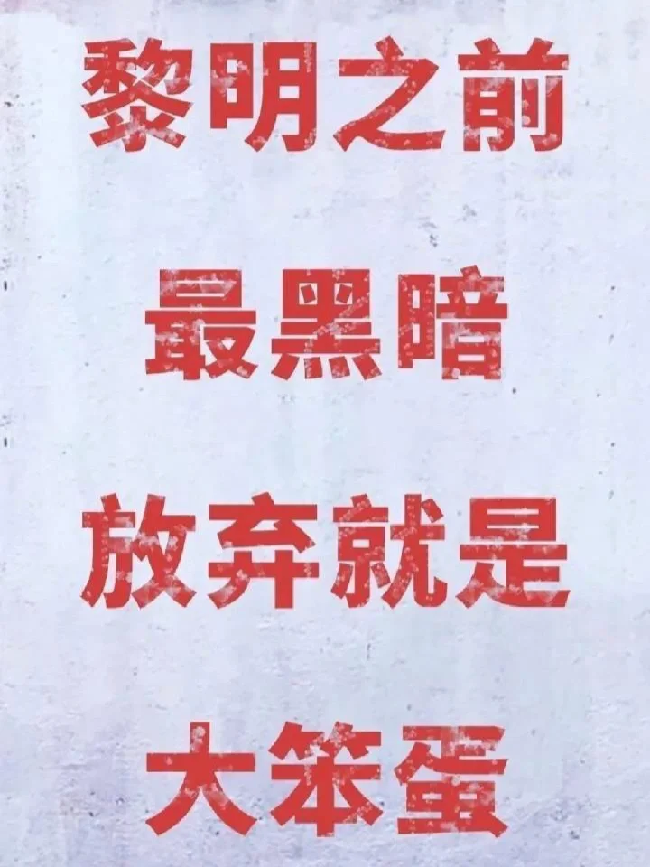 📚英语四六级翻译必备，万能句型大公开😄