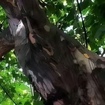 日行一善，温暖常在。随手捡起垃圾、给陌生人微笑、帮邻里提重物，点滴善意汇聚成光。