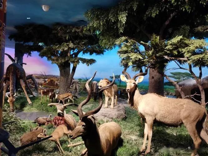 自然博物馆
恐龙公园里的恐龙能动、可以吼叫、还会向你眨眼睛，一定要照顾好自己的宝