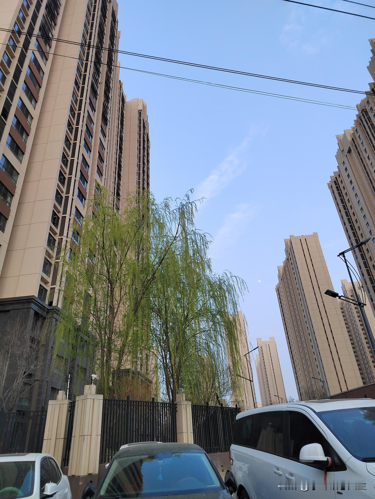 房价真要涨了？别被数据骗了！
 
看了统计局刚公布3月房价，一线楼市确实回暖了，