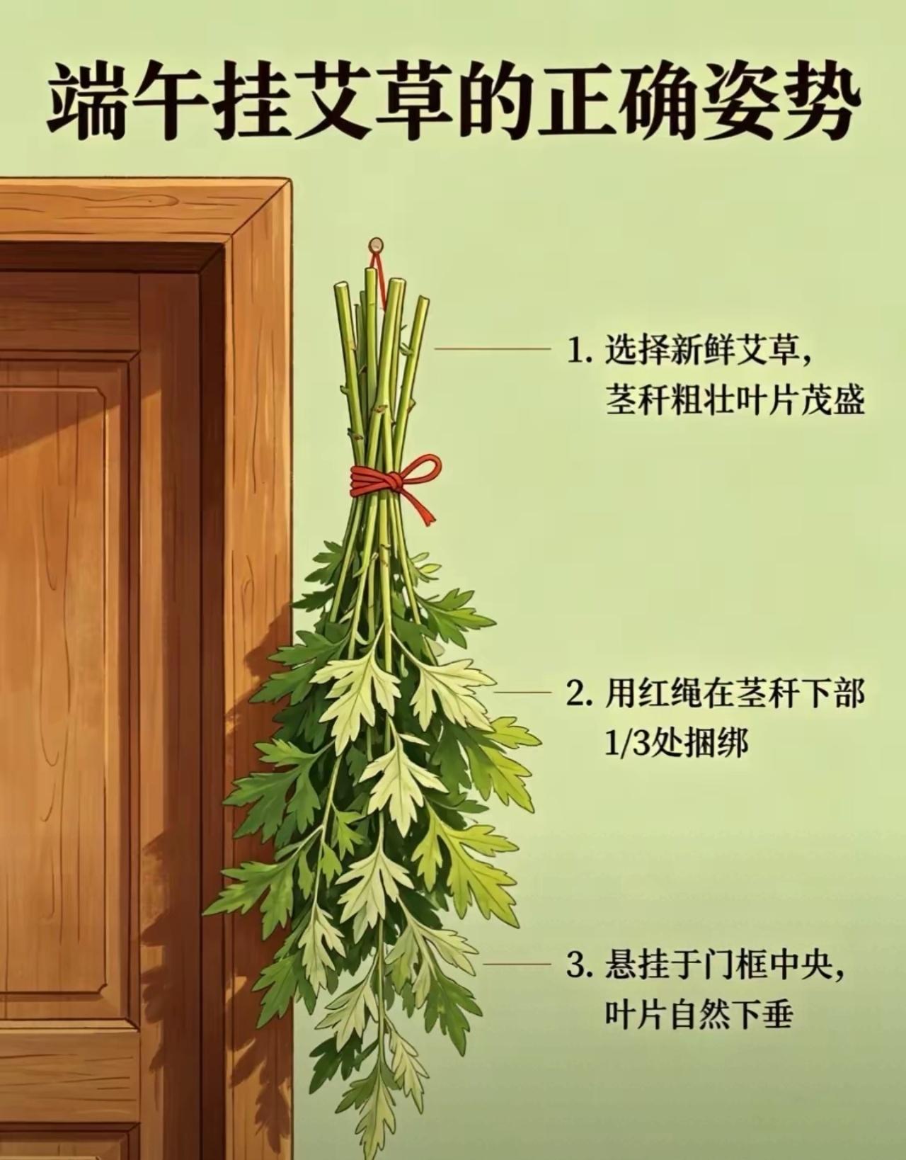 今日端午，家家户户挂艾草✨
 好多人不知道挂艾草还有讲究，别再随便一捆乱挂啦
选