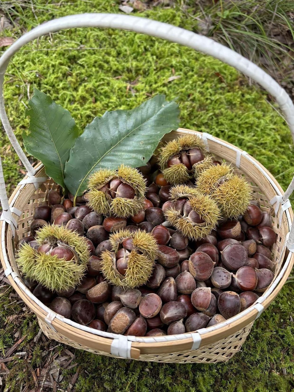 晚上不会跌的，盘中是被老A拖累。但场外该控制的控制仓位，合理做加减才是对的。 ​