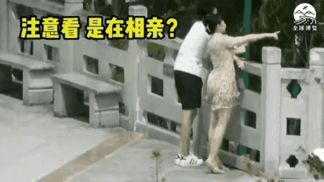 这个打挨的不亏！

俗话说得好：心急吃不了热豆腐。

刚跟人家相亲，八字还没一撇