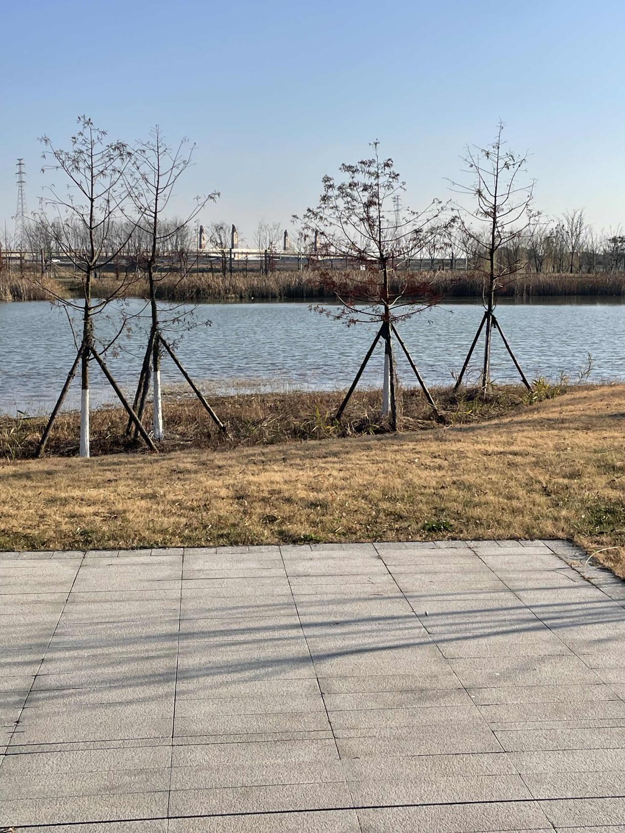 骏马迎春至，
宏图向新开。
愿你携龙马之锐气，
驭长风而奋进，
踏山河万里，
逐