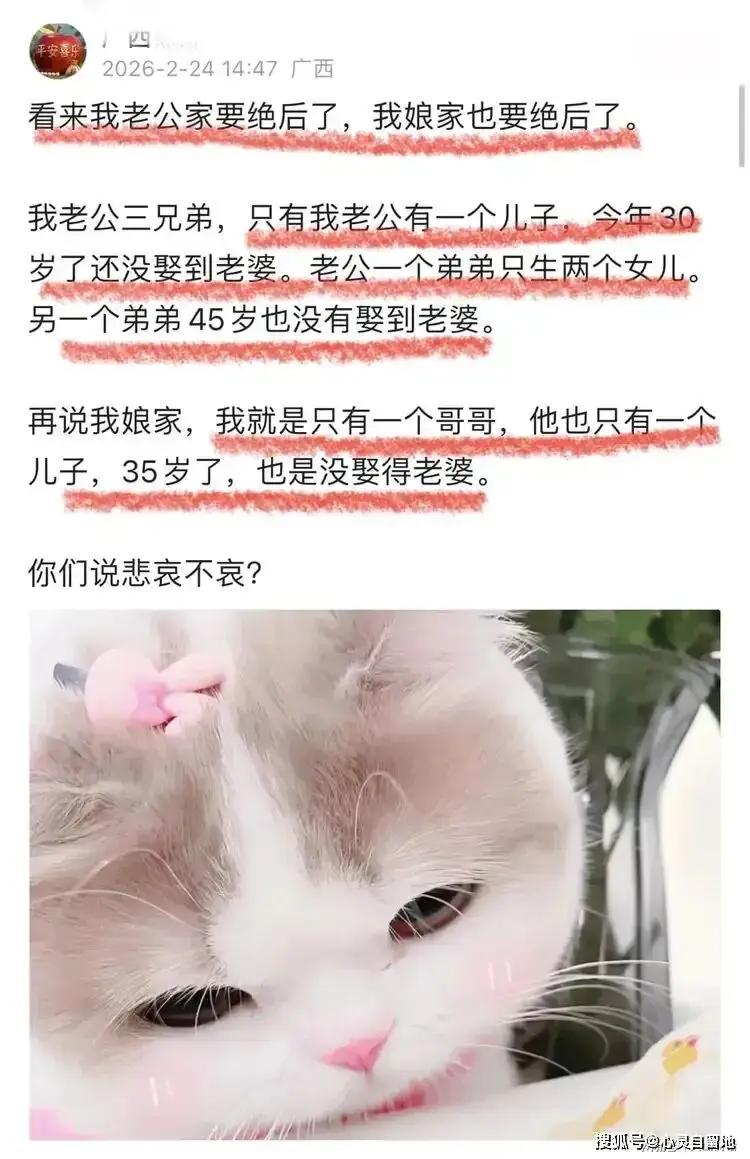 实际上，中国很多家庭都是这种现状！老辈家庭面临绝后的危险，新组建的家庭如果只生一