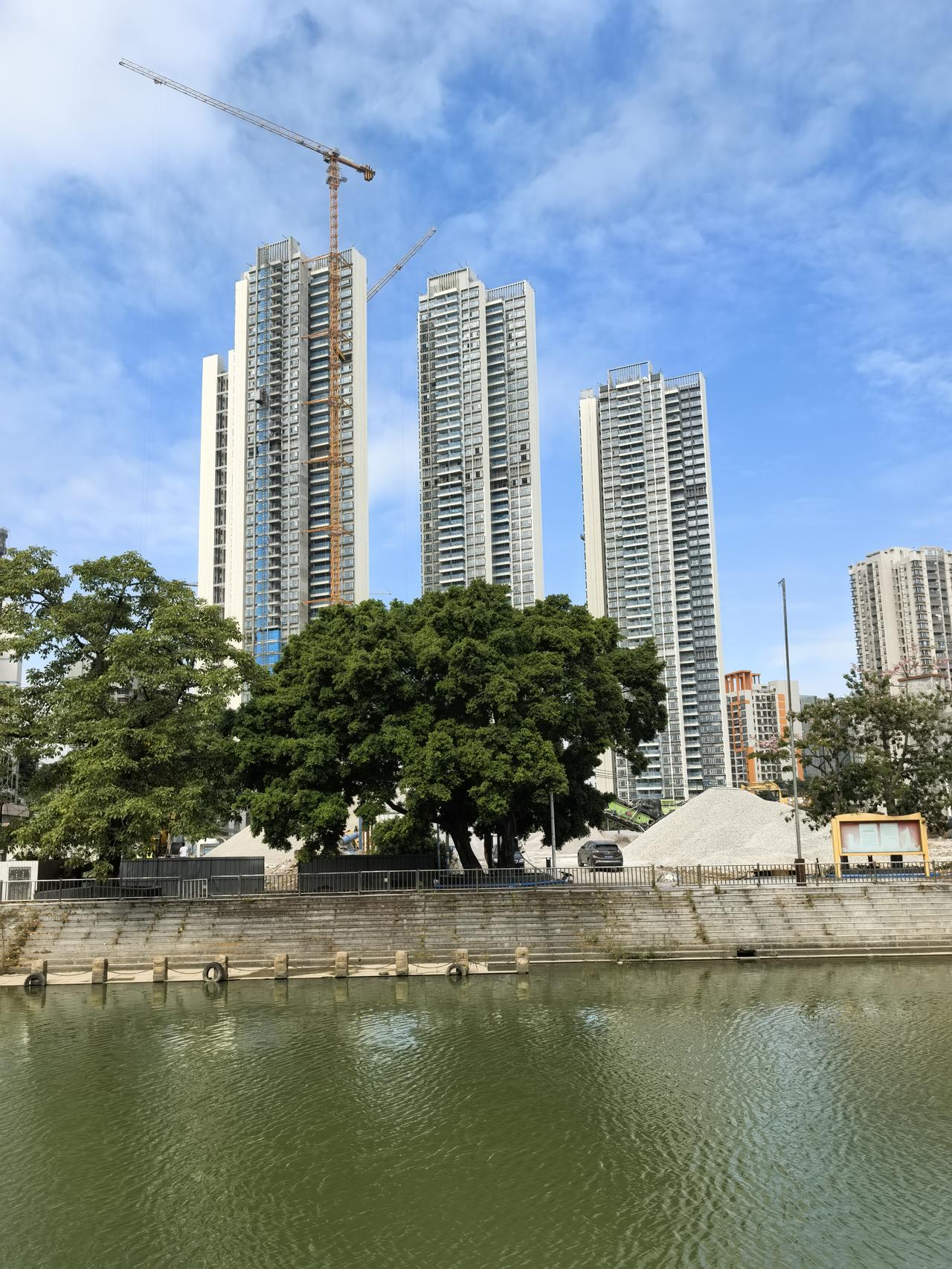 秋日生活打卡季秋日一角