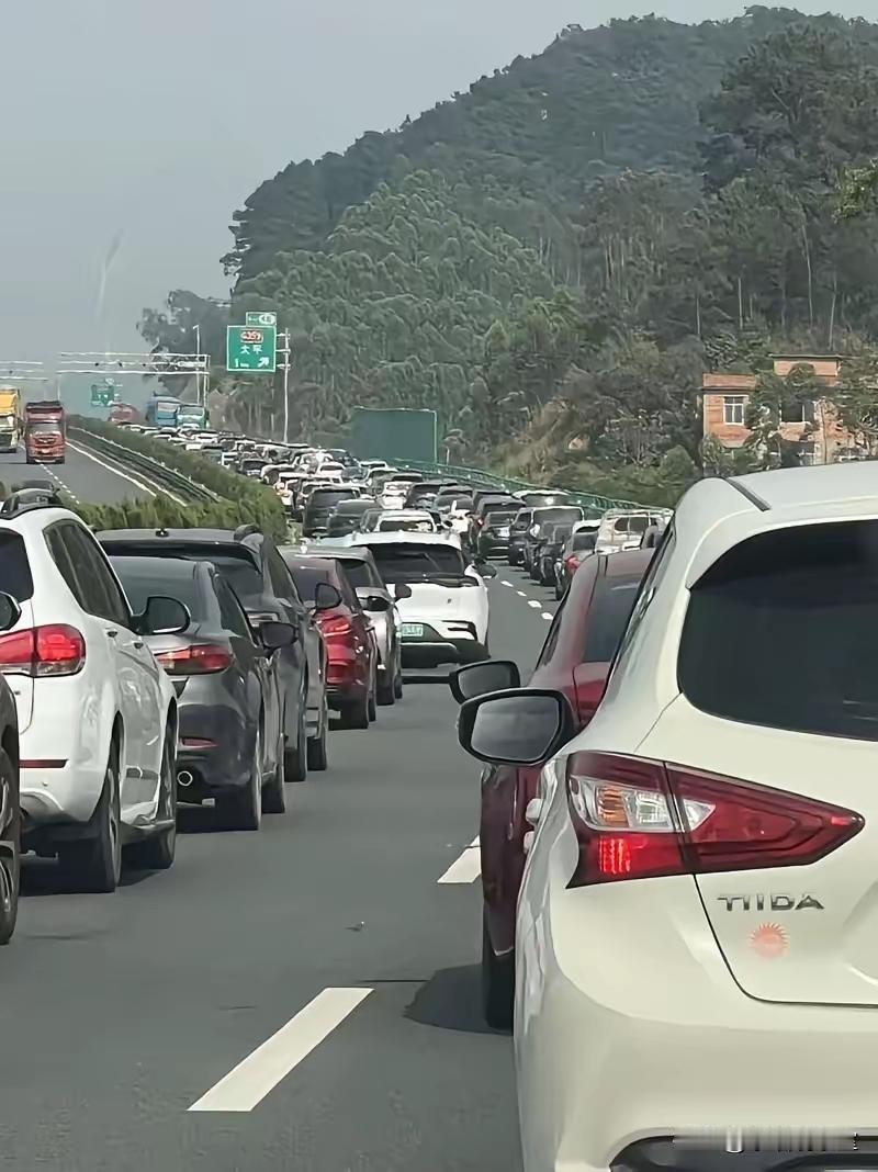 五一刚过，我翻了翻朋友圈，有人堵在高速上遛狗，有人在景区挤到没信号，有人花上千块