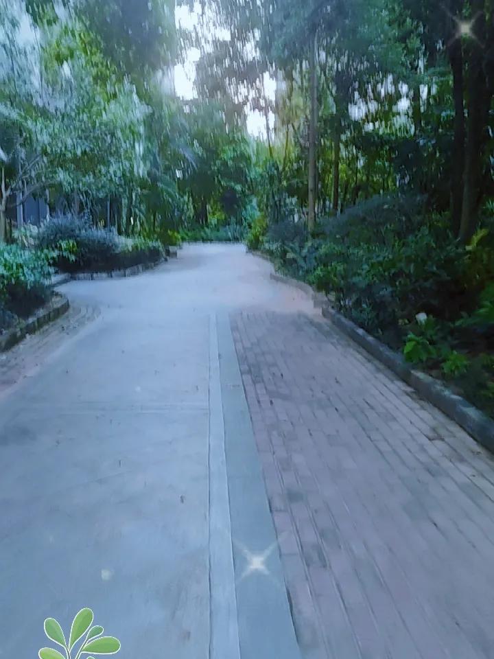 秋日生活打卡季