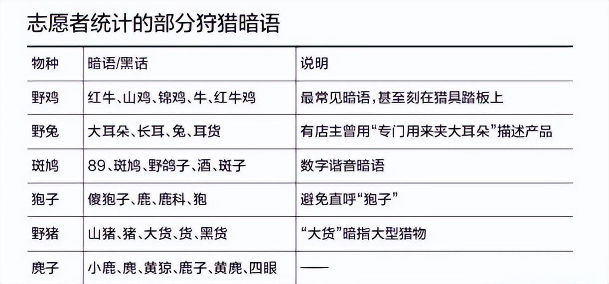 夜晚十点之后，城市和乡村都逐渐陷入寂静，多数人也都安然进入梦乡，然而一场场发生在