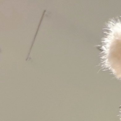 0000怀揣热爱与初心，日子便不会平庸，无论岁月如何流转，都能焕发生机。以追求为