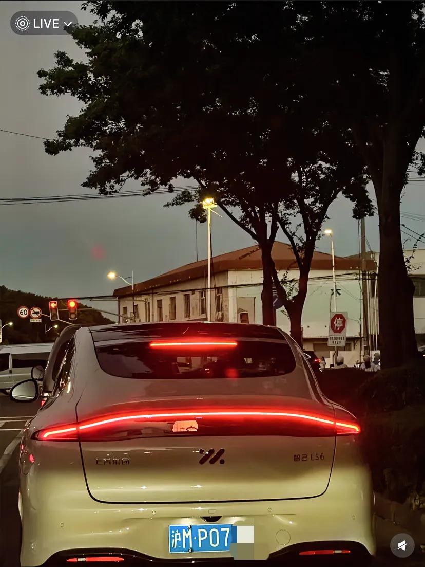 上海街头，沪M蓝牌新能源？[what]