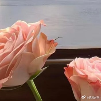 每日一善每日‎一善 善意是世间最温柔的力量，从身边小事做起，坚持每日一善。用行动