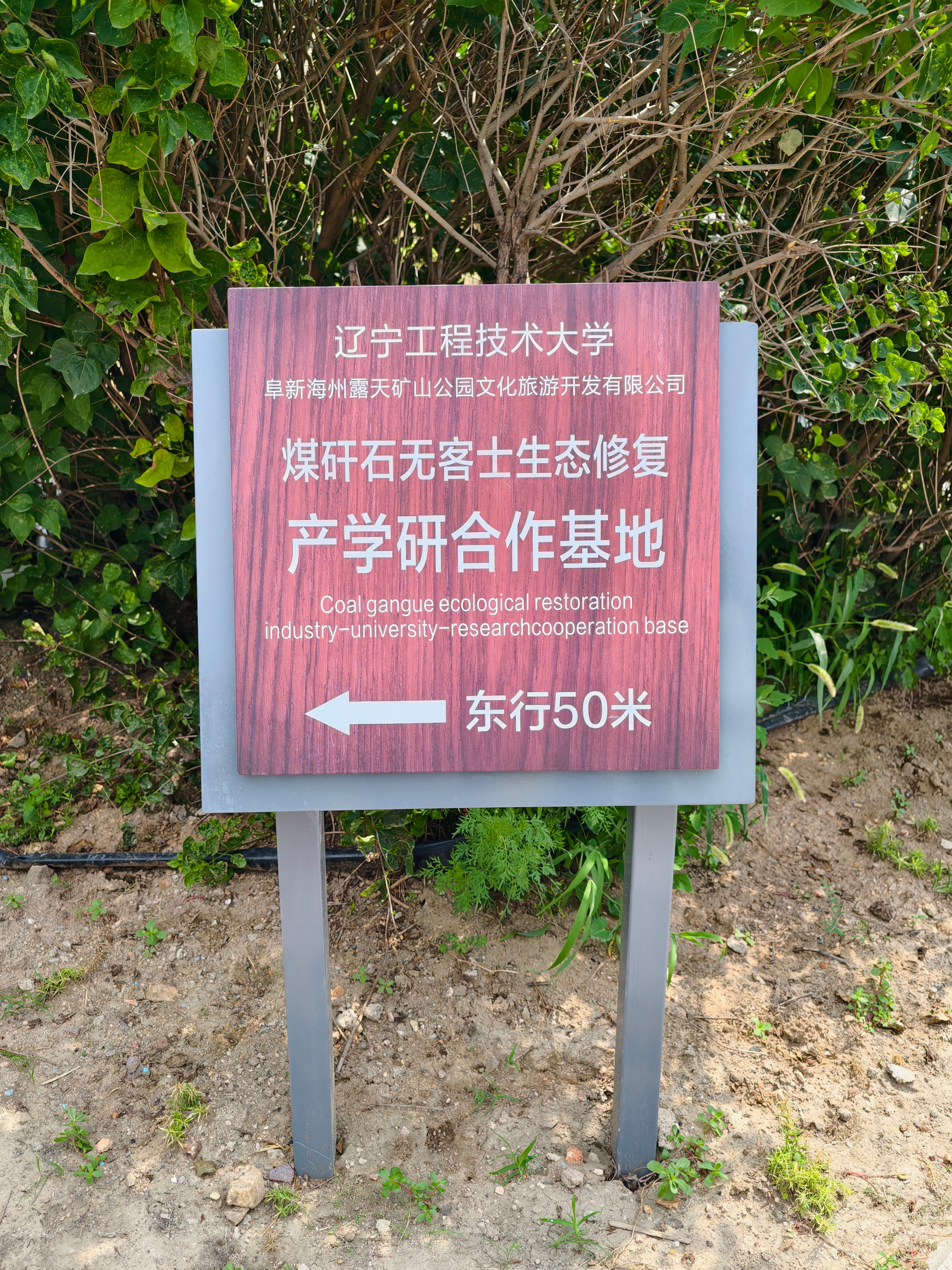 离谱的文字错误[吃瓜] ​​​