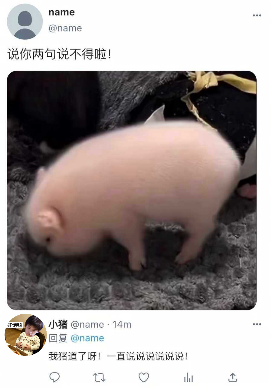 猪的心思好难猜 