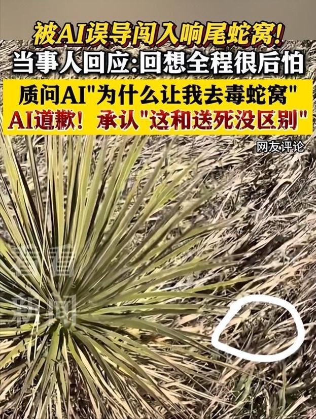 细思极恐！女子跟着 AI 导航误闯毒蛇窝，事后AI 道歉说：这确实和送死没区别