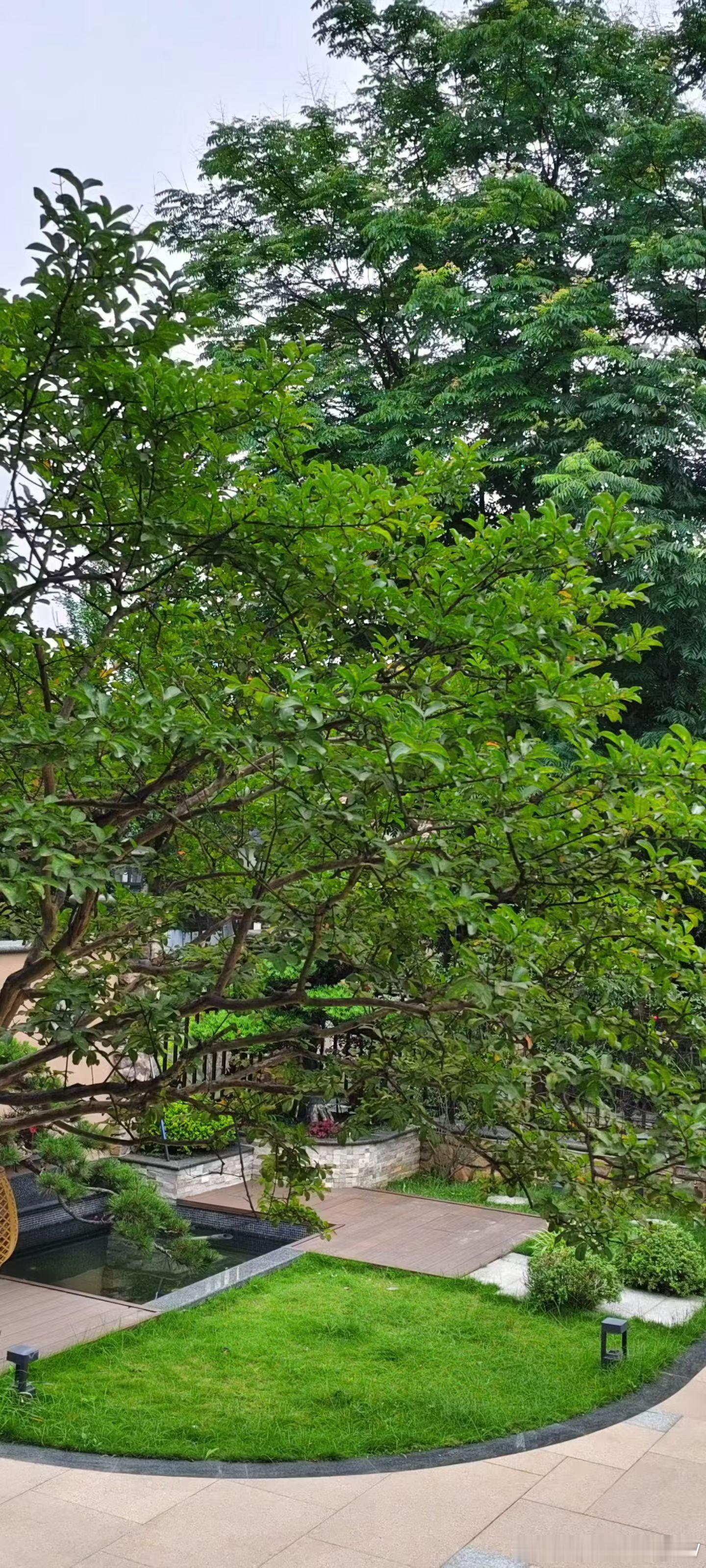 早安，愿你心中充满阳光，温暖一整天。 