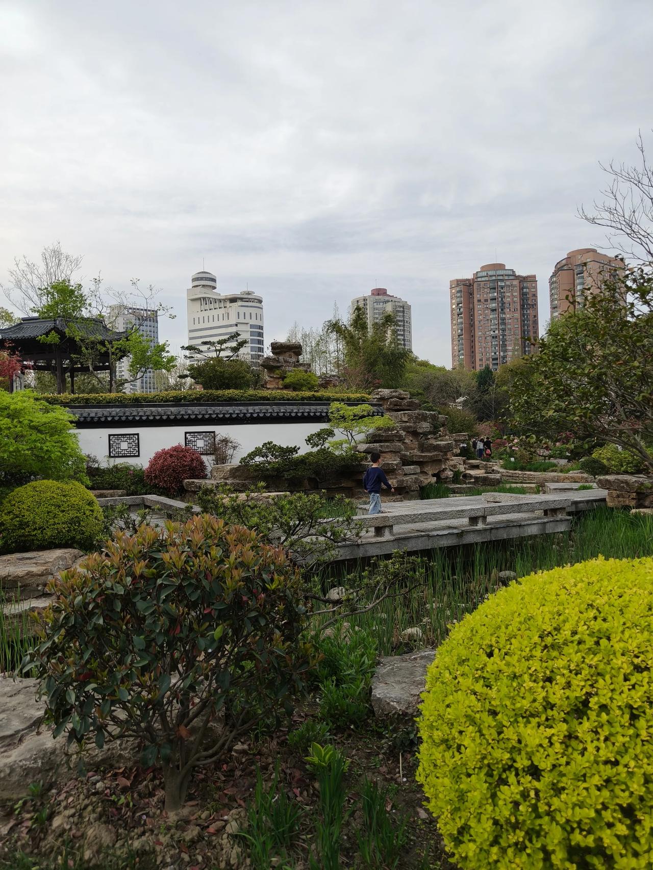 清明假期午后公园散步🚶🏻‍♀️🚶🏻‍♂️
和平公园随手拍实景图分享！