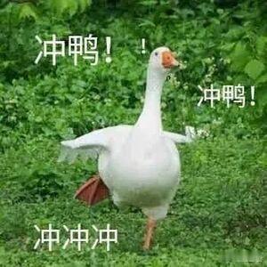 高考不是人生的唯一分水岭真正的分水岭，从来不是18岁的考场，而是30岁时你面对困