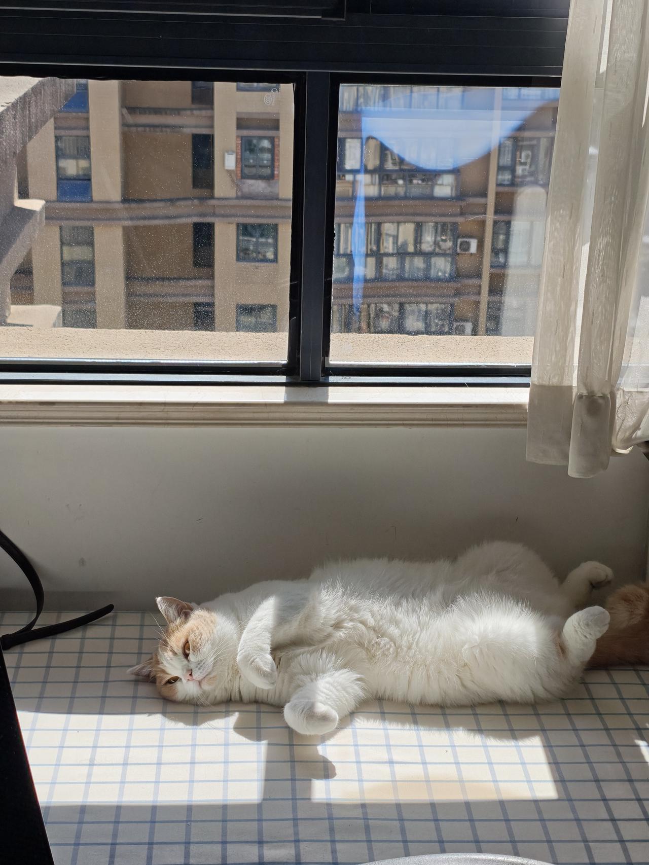 加班究竟是敬业的体现，还是遭遇了道德绑架？
原本，加班是应对紧急任务的特殊举措，