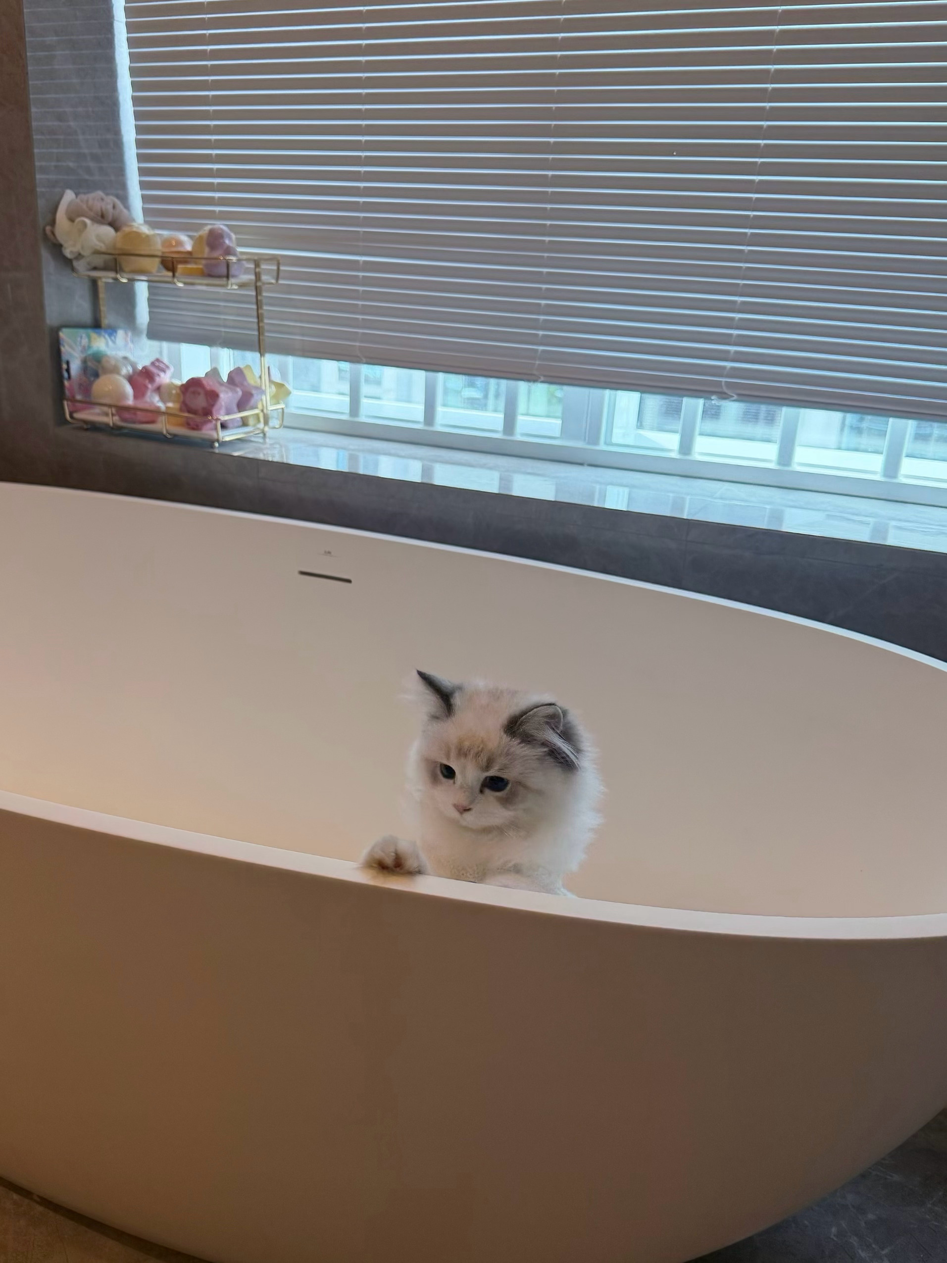 我家孩子我家孩子我家孩子 