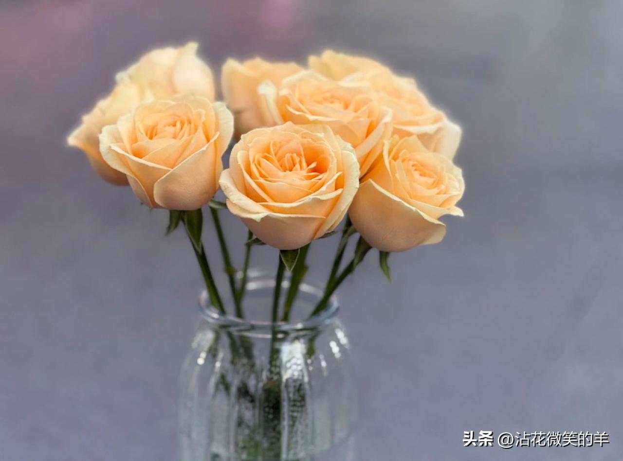 头条上有多少让人唏嘘、令人动情的小作文，完全是作者编出来的？

以前在头条上，看