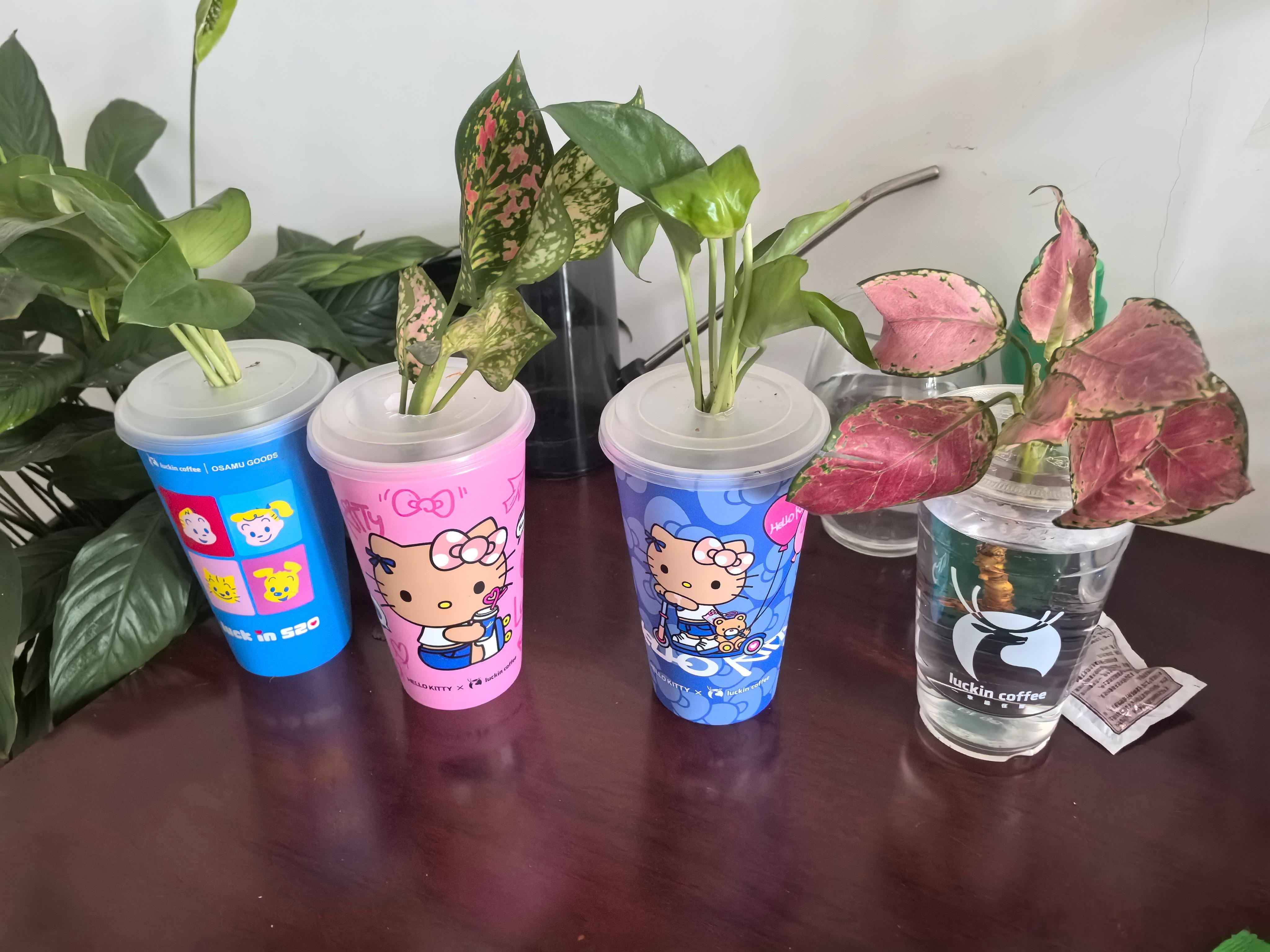 津彩绽放点赞天津 咱这咖啡杯也算用上了 