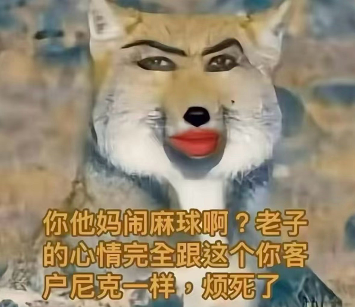 早知道特么今晚就去中泰了呀[困] ​​​