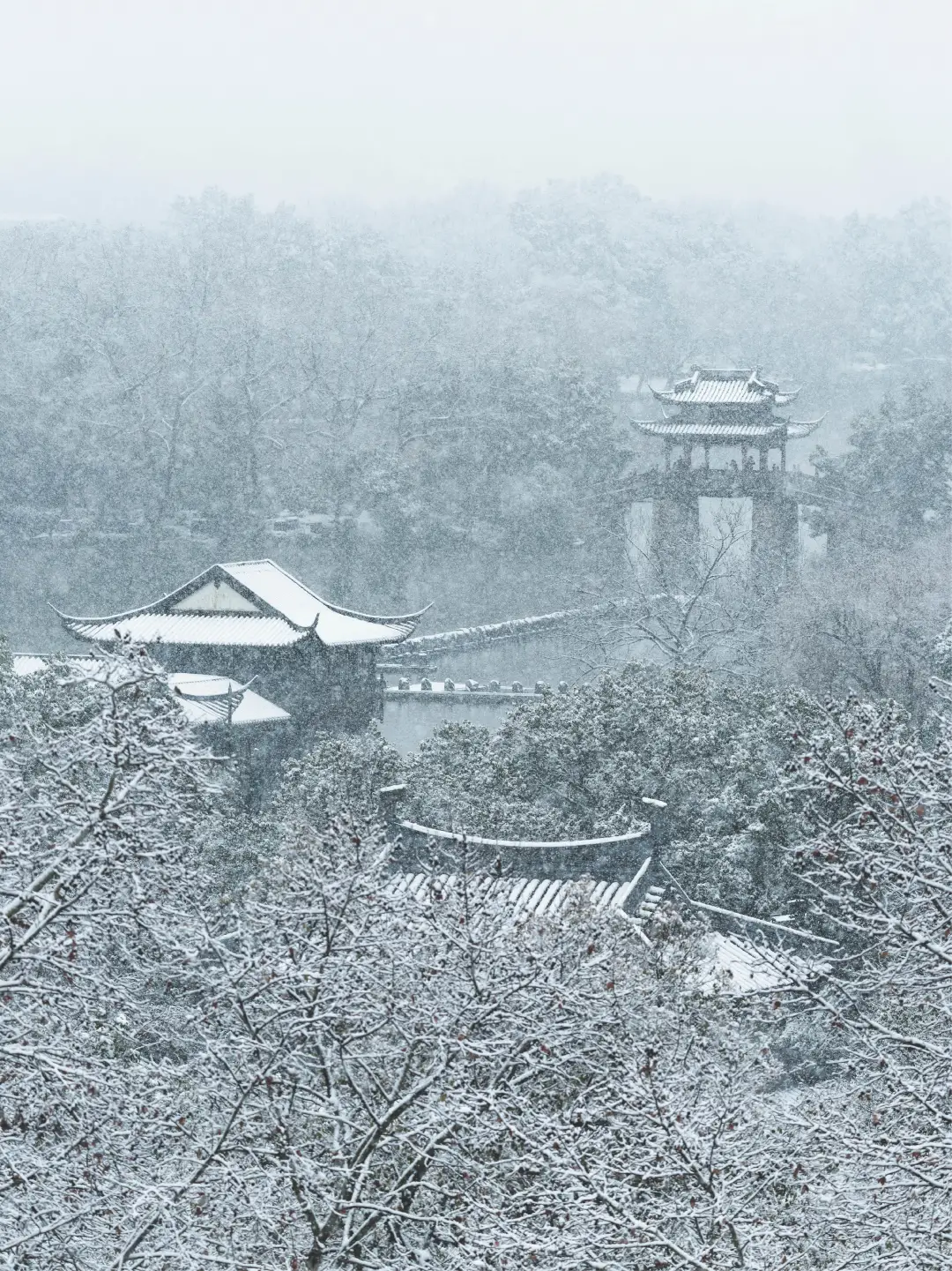 杭州今年还会下雪吗😭😭😭！