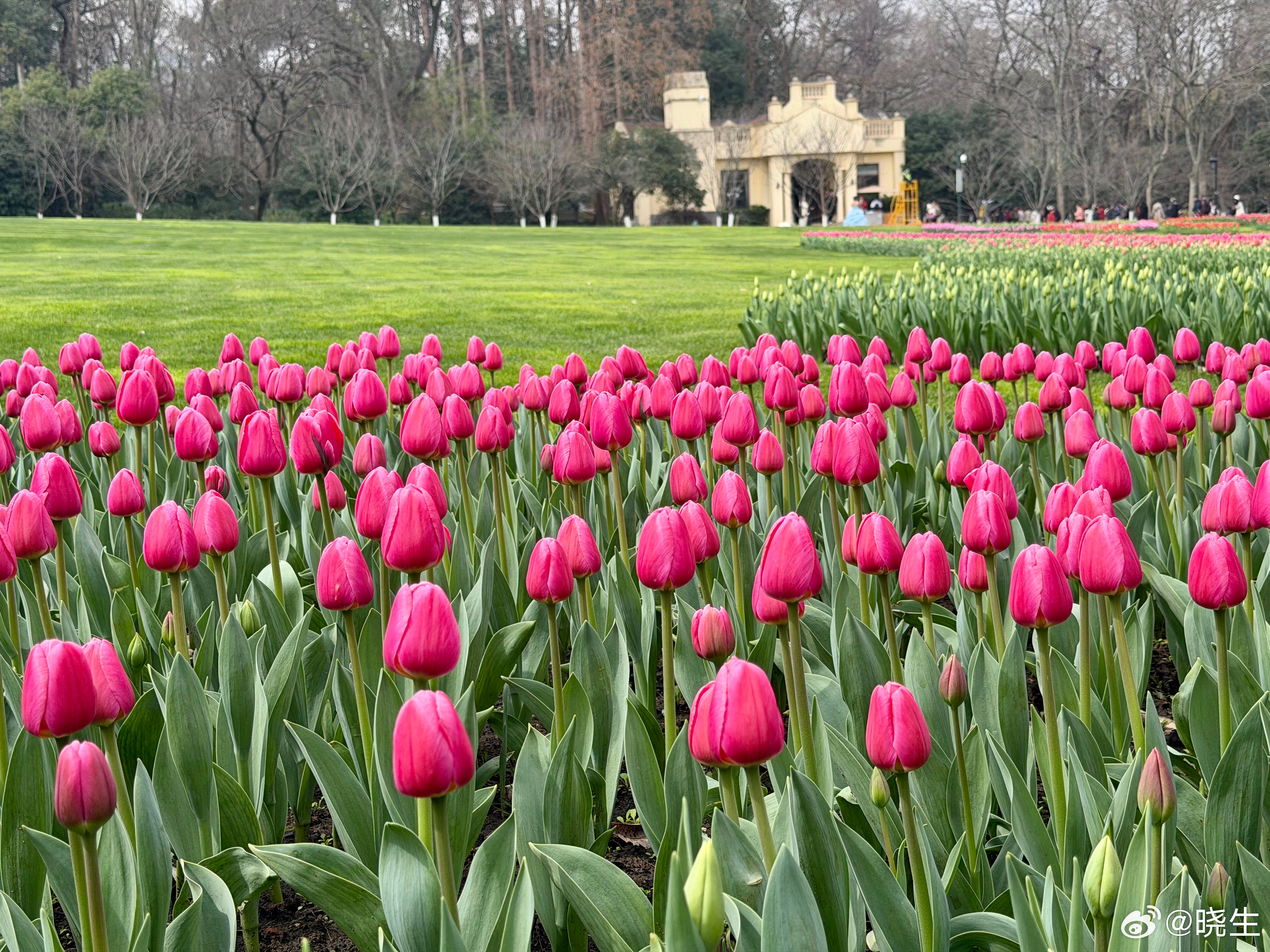 我做情感咨询这么多年，有个很扎心的发现，很多人以为自己在谈恋爱，其实是在用性格谈