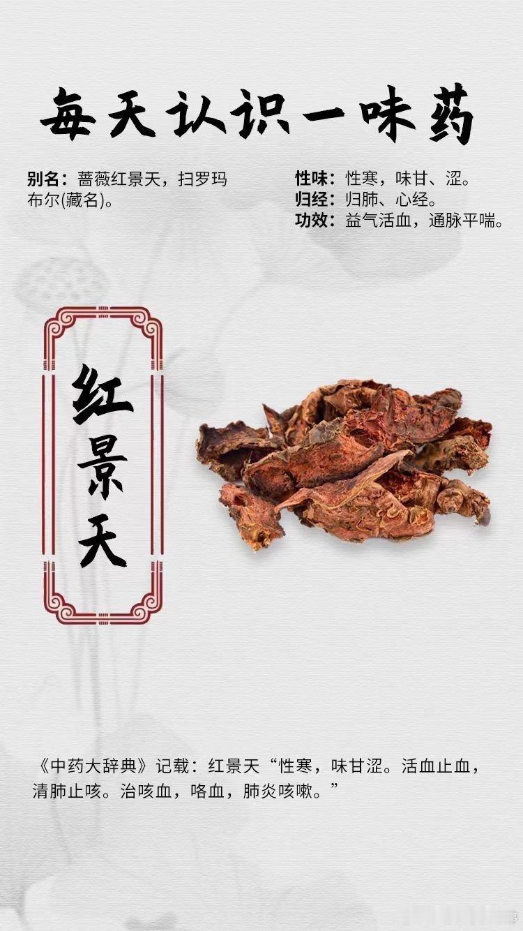 #每天一味中草药##健闻登顶计划# 【每天认识一味药】🌹红景天⭕别名：蔷薇红景
