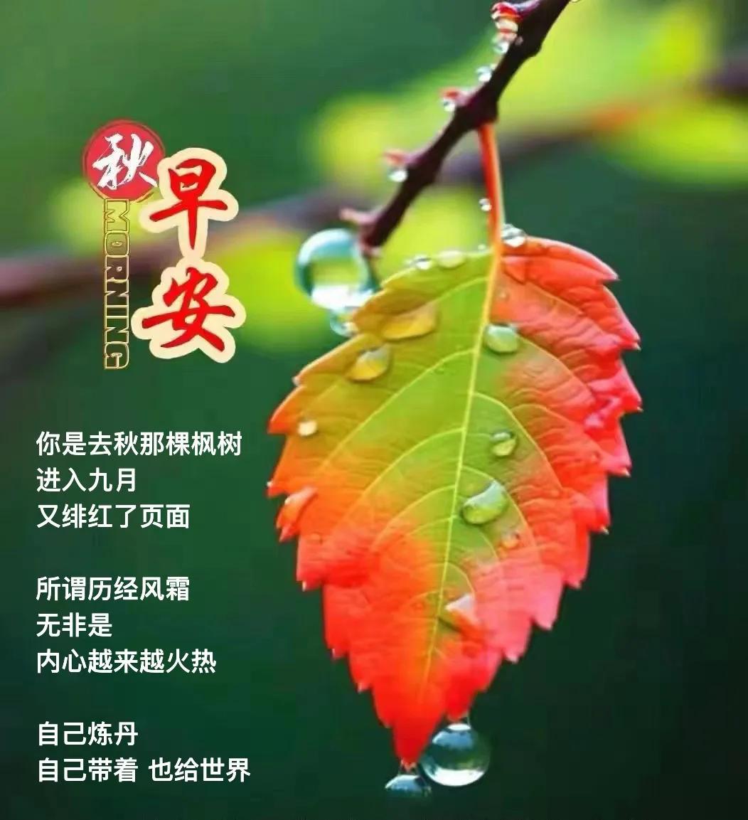 须有力气
举起一枚枫叶
须有胸怀
包容山川湖海
．
去拥抱或等待拥抱
与世界相处