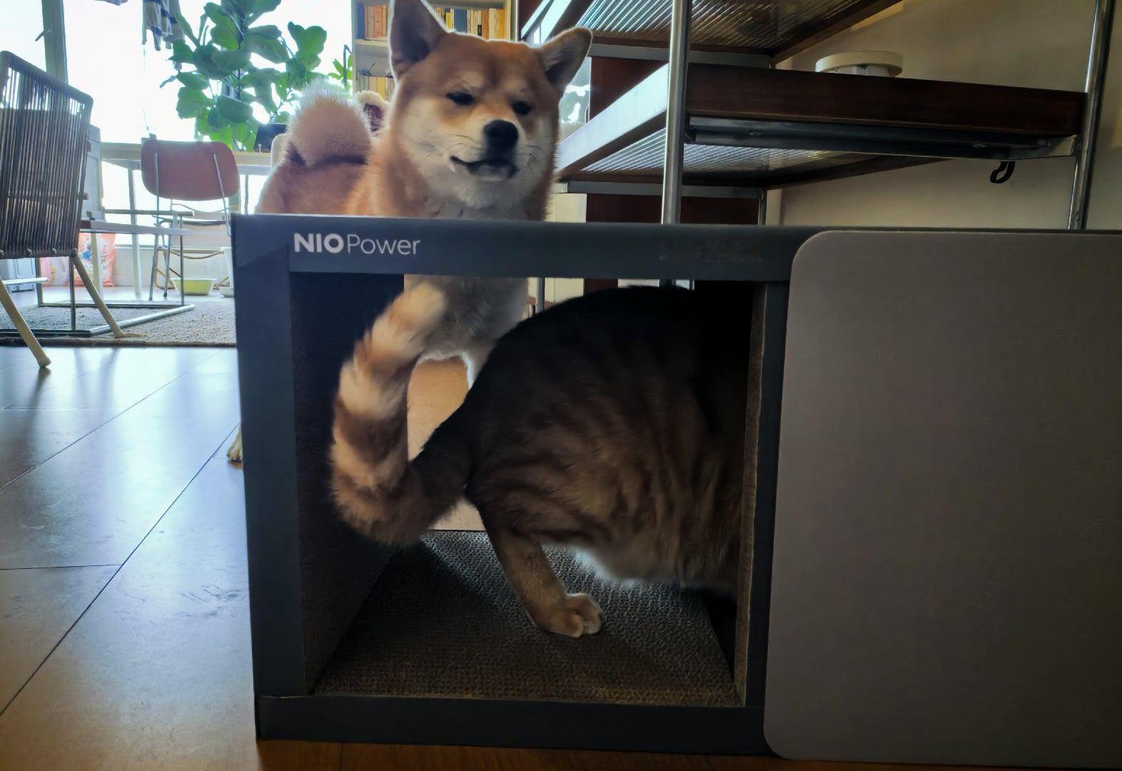 直接喜提一座蔚来换电站