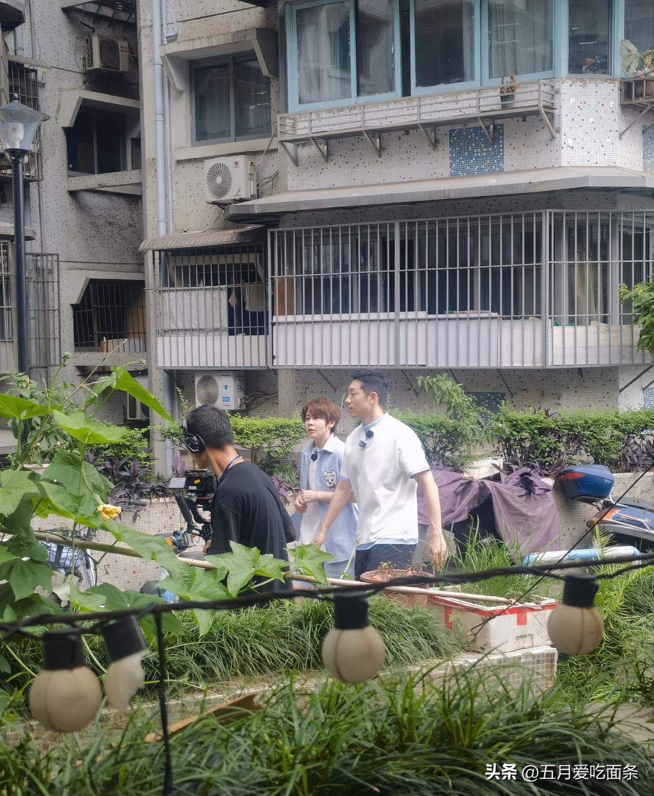 王濛和许昕，一个夏季奥运会最能说也最敢说的，一个冬季奥运会最敢说的。
两人合体一