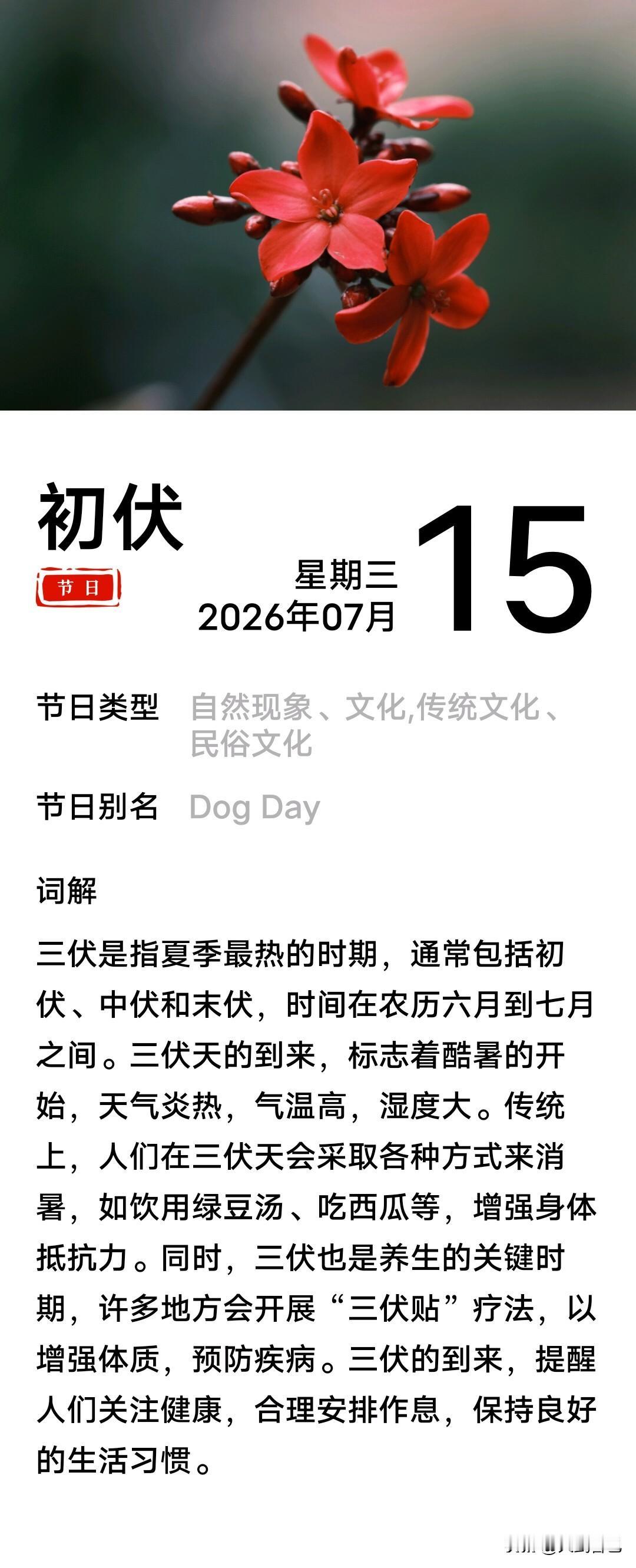 入伏
