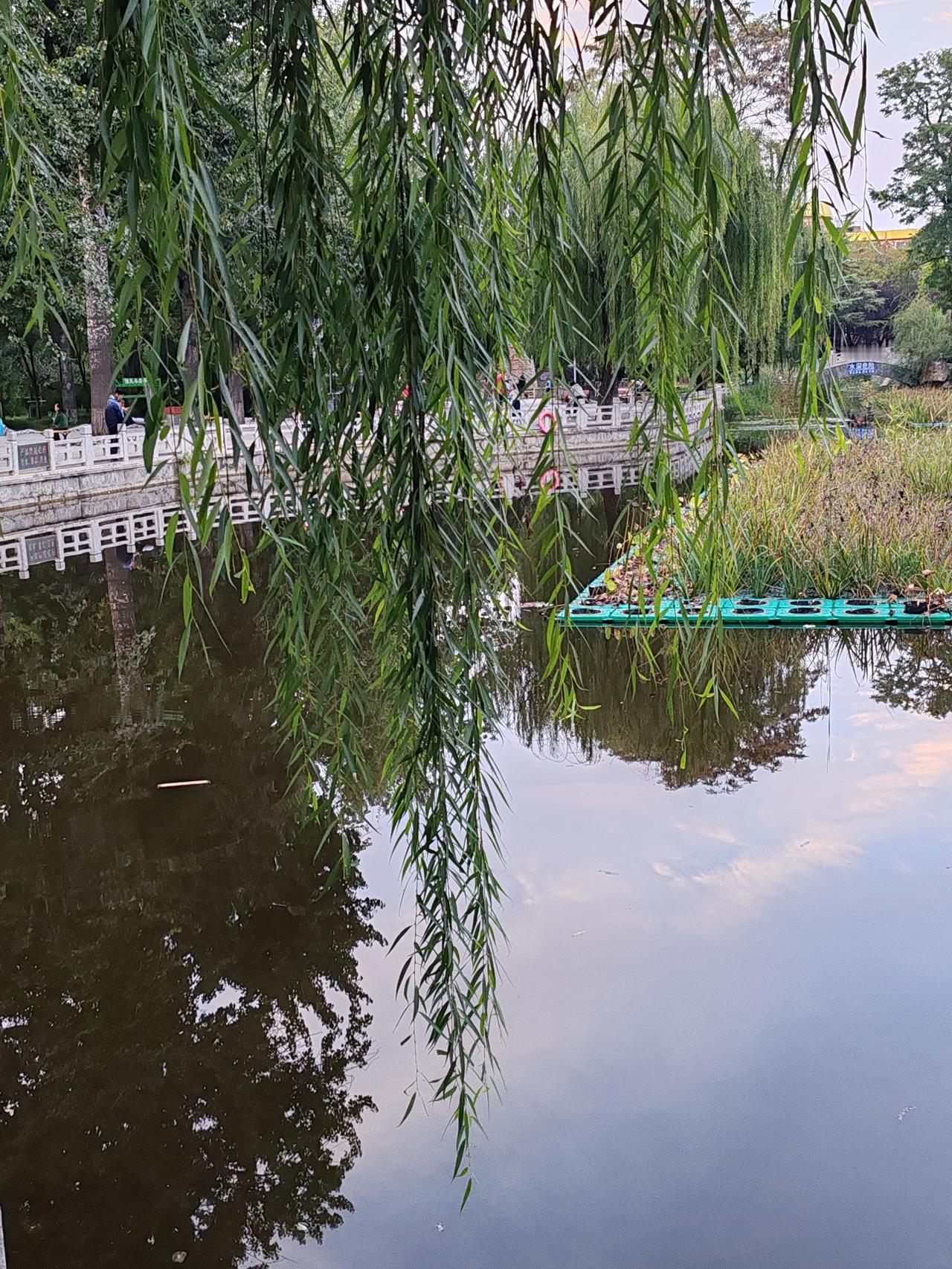 上联：水上千舟渡，求下联河岸万柳飞