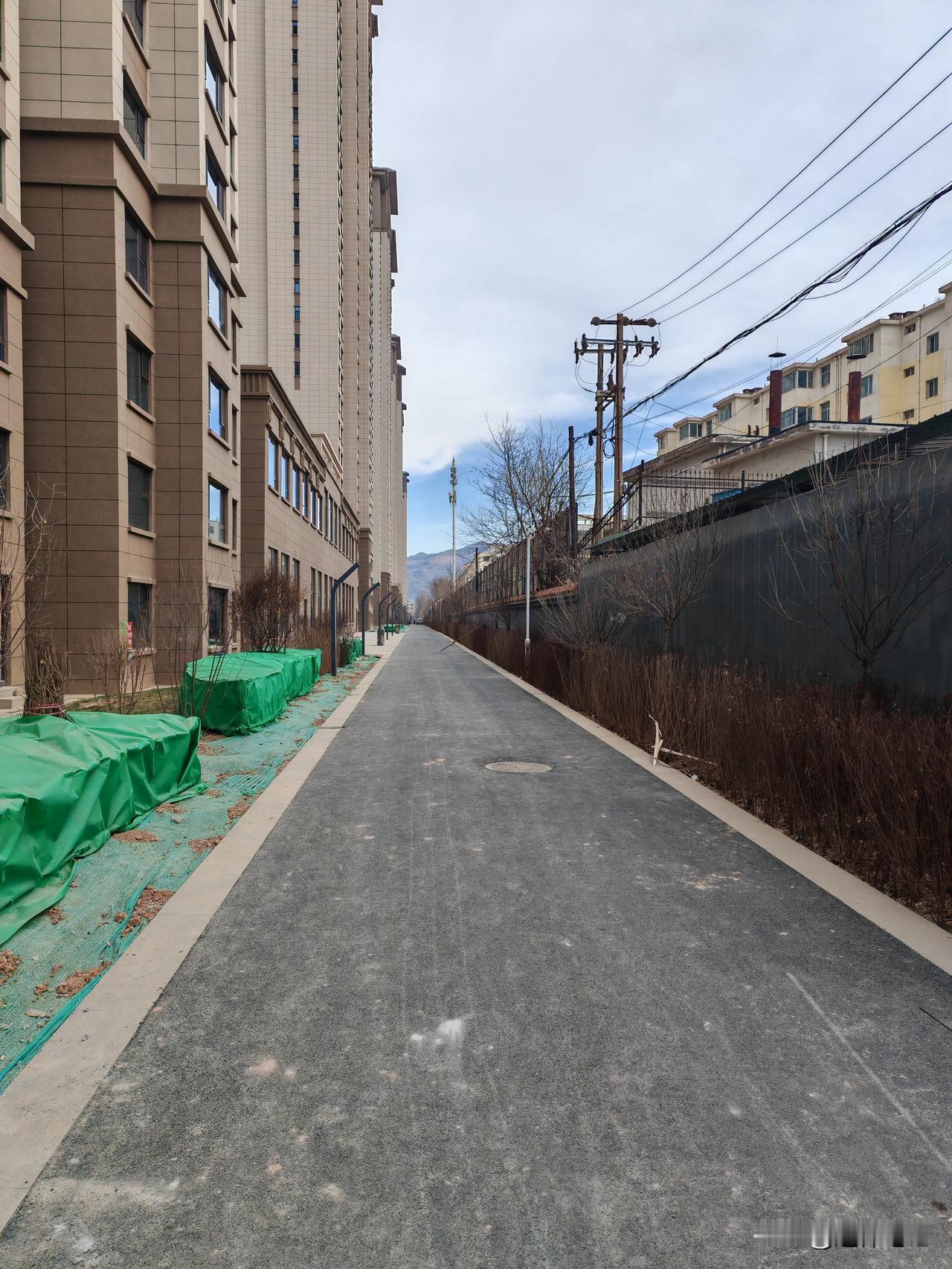 今年冬天的不同要说今年冬天最大的不同就是气温整体相对来说比较高的，据说跟往年相比
