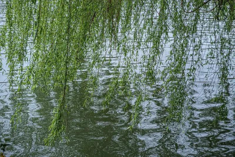 新冠之后，世界环境巨变，人类格局也在深刻演变。在智能世界里，人类存在的方式正被重