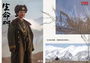 【转发期待！#生命树台词海报#】#生命树杨紫台词##生命树杀青# ​​​雪山为证