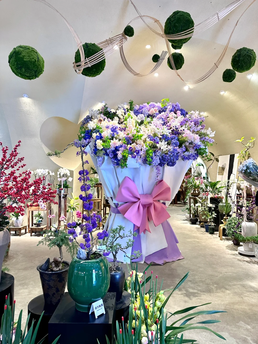 成都宝藏花市！花多！便宜！！10r买好大一把……