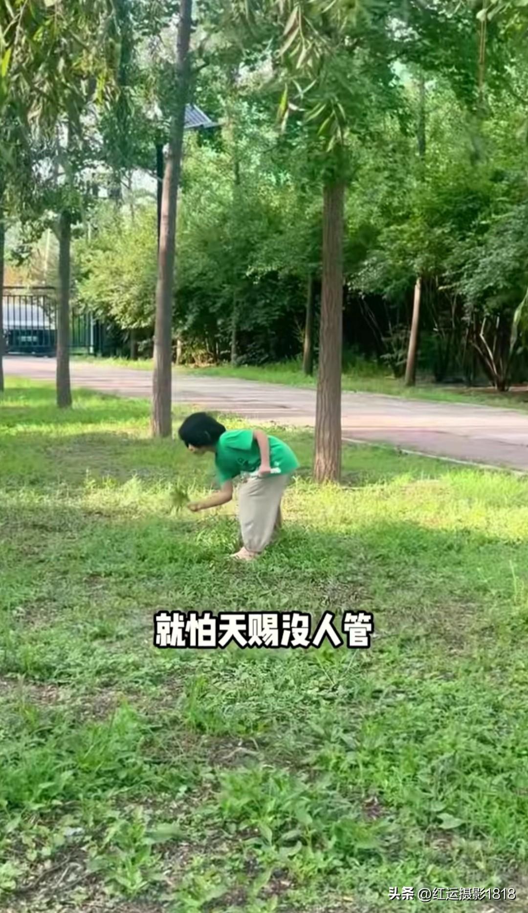 6岁小天赐75岁的老父亲说他这个年龄不怕吃苦，就怕自己倒下，更害怕小天赐没人管，