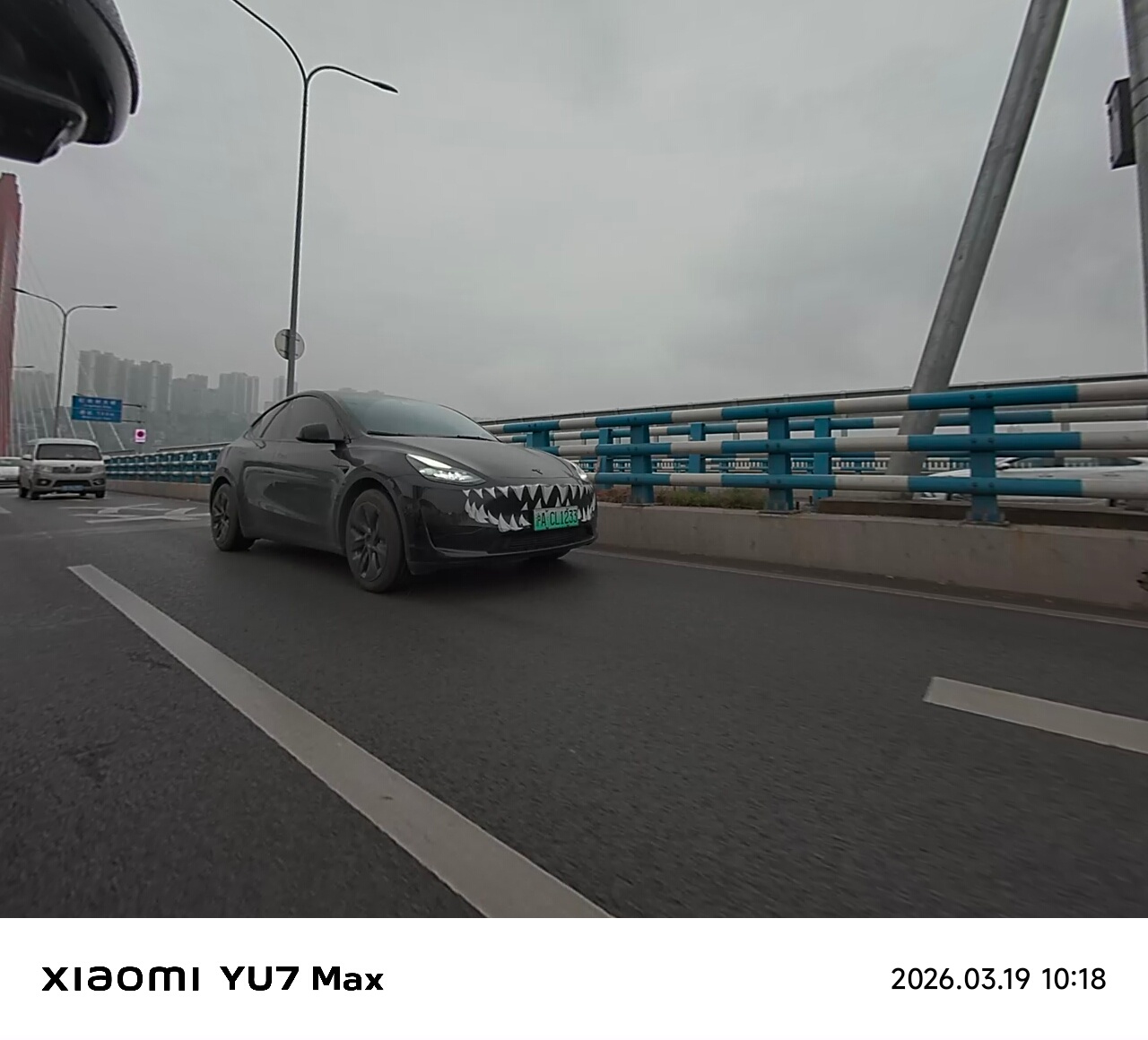 刚在路上拍到了一条大鲨鱼