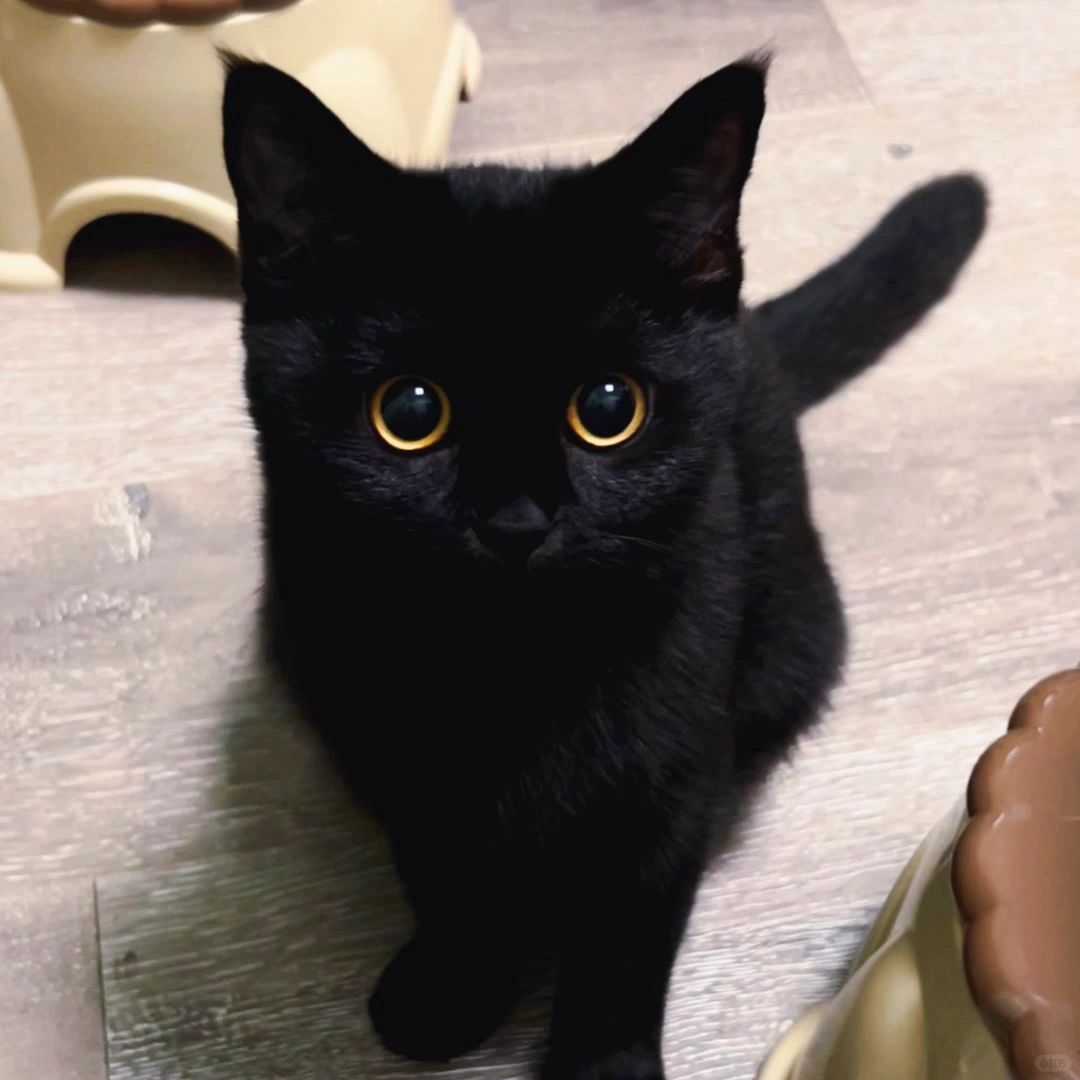 宝宝watch you 😈😈