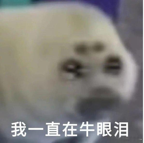 比牛马更累的是减脂牛马