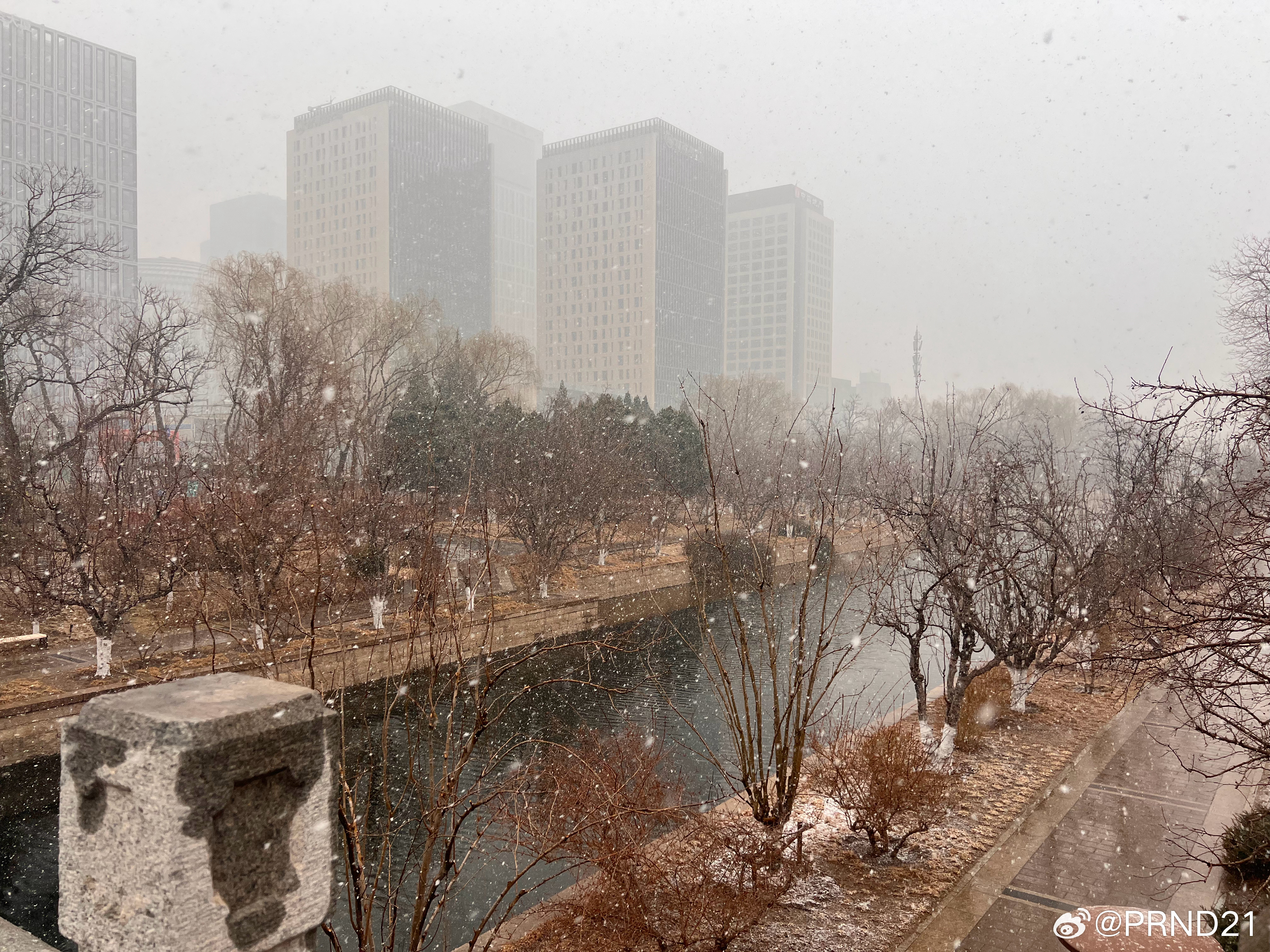 北京下雪 还行，有点儿意思！ 北京·元大都城垣遗址公园