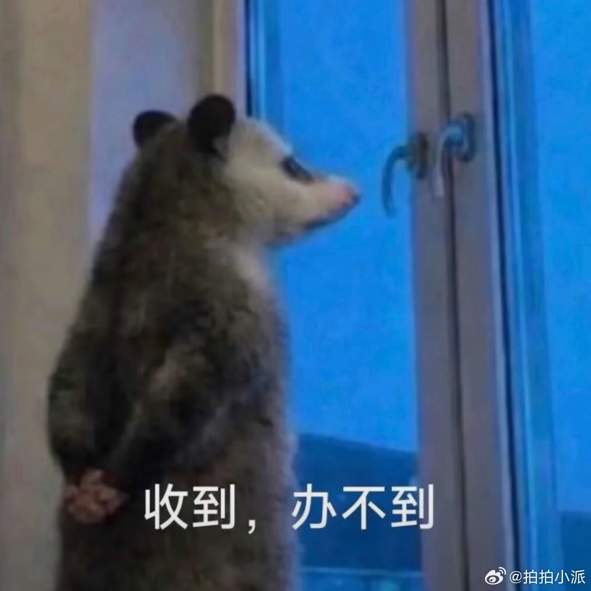 辞职前先请一周假其实就是一上头就辞职了，如果真的是认真考虑可能就会拖拉。很多时候