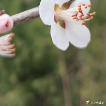 关于过去过去这个词像一间老房子，你时不时就想进去坐坐。里面有旧时的味道，有褪色的
